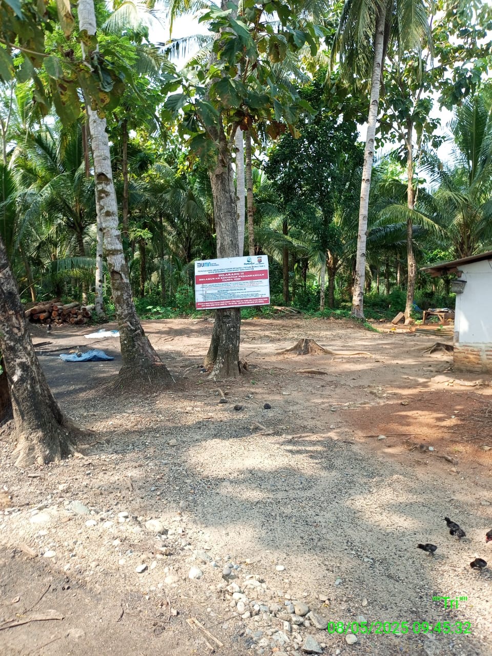 Lagi-Lagi Tambang Batu Bara Ilegal Tanpa Izin di Kecamatan Cihara Kembali Menelan Korban Jiwa