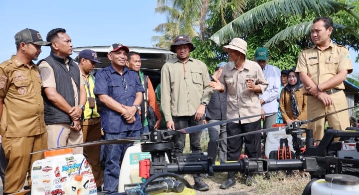 Pemerintah Pusat Komitmen Hadir di Tengah Kesulitan Petani Pinrang.
