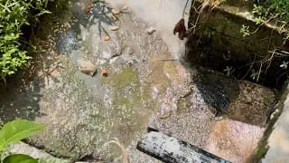 Warga Soroti Pengelolaan Limbah Dapur MBG di Desa Berkah, Pengelola Janji Segera Benahi Sistem Pembuangan